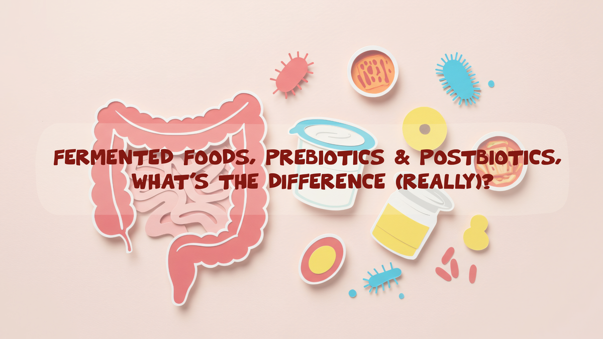 Fermented Foods, Prebiotics & Postbiotics, What’s the Difference (Really)?