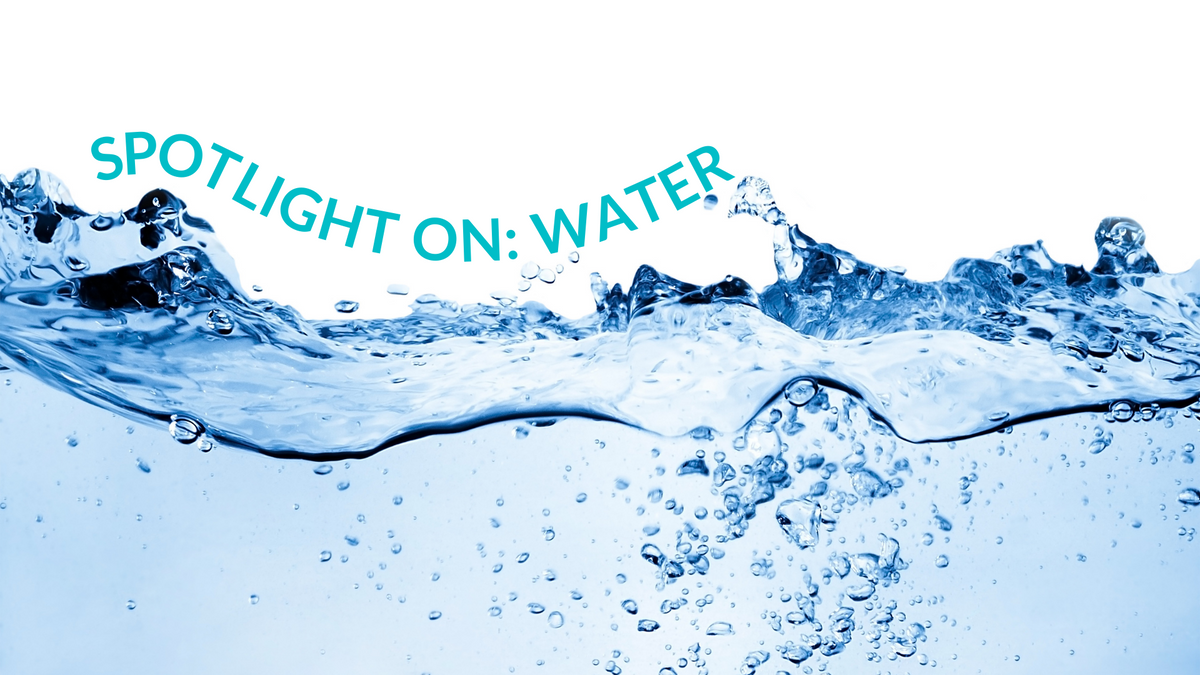 Spotlight On: Water