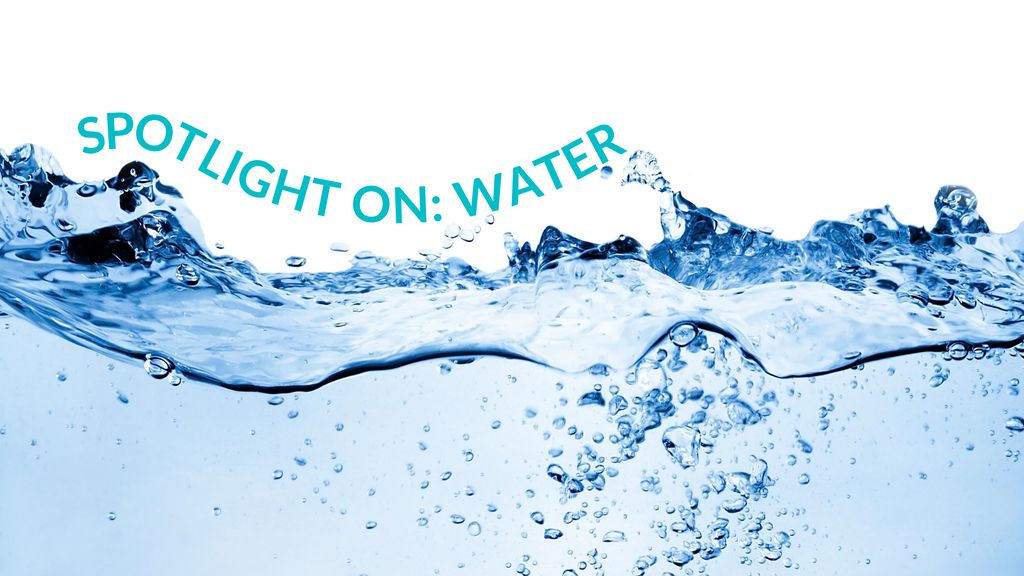 Spotlight On: Water
